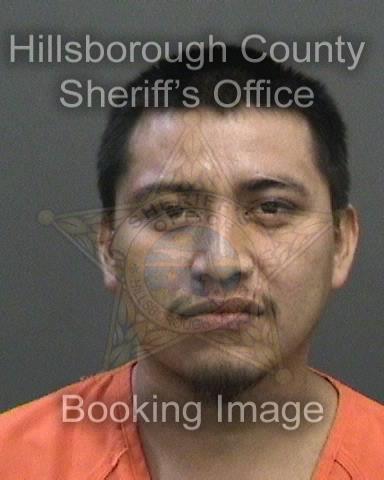 ALBERTO NOYOLA  Info, Photos, Data, and More About ALBERTO NOYOLA  / ALBERTO NOYOLA  Tampa Area