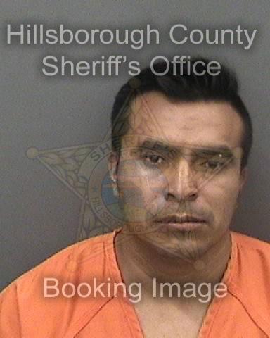 EFREH FORTINO DIAZ-PEREZ  Info, Photos, Data, and More About EFREH FORTINO DIAZ-PEREZ  / EFREH FORTINO DIAZ-PEREZ  Tampa Area