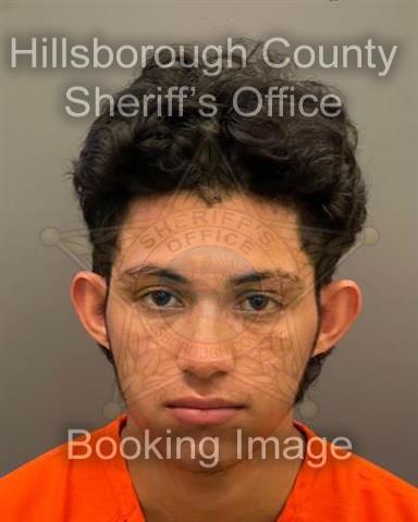 JENRY ANAEL FLORES ORTIS  Info, Photos, Data, and More About JENRY ANAEL FLORES ORTIS  / JENRY ANAEL FLORES ORTIS  Tampa Area