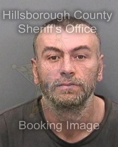JESSE MARTIN COLLINS  Info, Photos, Data, and More About JESSE MARTIN COLLINS  / JESSE MARTIN COLLINS  Tampa Area