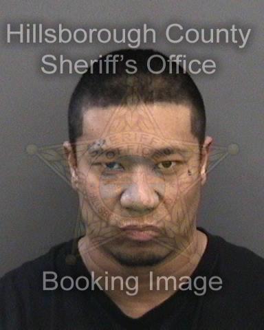 JULIAN DOMINIC GALLAGHER  Info, Photos, Data, and More About JULIAN DOMINIC GALLAGHER  / JULIAN DOMINIC GALLAGHER  Tampa Area