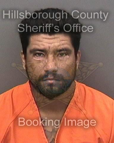 MICHAEL ANGELO LONGORIA  Info, Photos, Data, and More About MICHAEL ANGELO LONGORIA  / MICHAEL ANGELO LONGORIA  Tampa Area