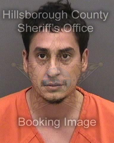 MISAEL VIENTOS PELLOT  Info, Photos, Data, and More About MISAEL VIENTOS PELLOT  / MISAEL VIENTOS PELLOT  Tampa Area