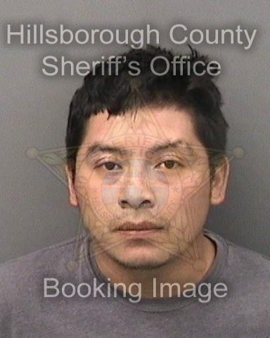 SELVIN BELTRAN VASQUEZ THOMAS  Info, Photos, Data, and More About SELVIN BELTRAN VASQUEZ THOMAS  / SELVIN BELTRAN VASQUEZ THOMAS  Tampa Area