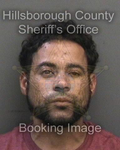 YOEDEL HERNANDEZ  Info, Photos, Data, and More About YOEDEL HERNANDEZ  / YOEDEL HERNANDEZ  Tampa Area