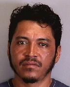 Fernando Cruz Info, Photos, Data, and More About Fernando Cruz / Fernando Cruz Tampa Area