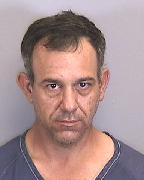 Carrie Ottinger Info, Photos, Data, and More About Carrie Ottinger / Carrie Ottinger Tampa Area