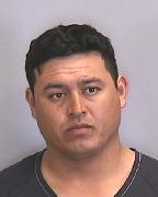 Emmanuel Herbert-amaro Info, Photos, Data, and More About Emmanuel Herbert-amaro / Emmanuel Herbert-amaro Tampa Area