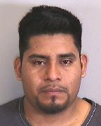 Sebastian Hernandez mejia Info, Photos, Data, and More About Sebastian Hernandez mejia / Sebastian Hernandez mejia Tampa Area