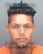Lawrence Fay Info, Photos, Data, and More About Lawrence Fay / Lawrence Fay Tampa Area
