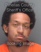 Tyler Hollinsed Info, Photos, Data, and More About Tyler Hollinsed / Tyler Hollinsed Tampa Area