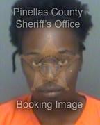 Shyanee Ross Info, Photos, Data, and More About Shyanee Ross / Shyanee Ross Tampa Area