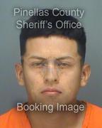 David Pena Info, Photos, Data, and More About David Pena / David Pena Tampa Area