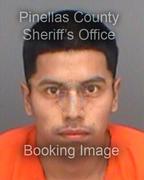 David Garcia-Vasquez Info, Photos, Data, and More About David Garcia-Vasquez / David Garcia-Vasquez Tampa Area
