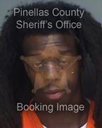 Patrick Johnson Info, Photos, Data, and More About Patrick Johnson / Patrick Johnson Tampa Area