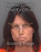 Angela Bengivengo Info, Photos, Data, and More About Angela Bengivengo / Angela Bengivengo Tampa Area