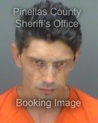 Goran Ristic Info, Photos, Data, and More About Goran Ristic / Goran Ristic Tampa Area