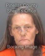 Michelle Ferris Info, Photos, Data, and More About Michelle Ferris / Michelle Ferris Tampa Area