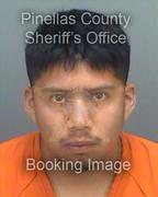 David Corio Info, Photos, Data, and More About David Corio / David Corio Tampa Area