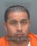 William Parragaparrales Info, Photos, Data, and More About William Parragaparrales / William Parragaparrales Tampa Area