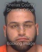 Alexander Tolley Info, Photos, Data, and More About Alexander Tolley / Alexander Tolley Tampa Area