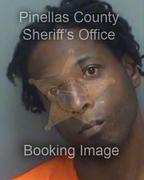 Terry Ross Info, Photos, Data, and More About Terry Ross / Terry Ross Tampa Area