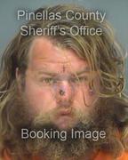 Shaye Strenke Info, Photos, Data, and More About Shaye Strenke / Shaye Strenke Tampa Area