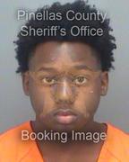 Zarian Green Info, Photos, Data, and More About Zarian Green / Zarian Green Tampa Area