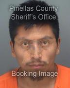 Edvin Garciavelasquez Info, Photos, Data, and More About Edvin Garciavelasquez / Edvin Garciavelasquez Tampa Area