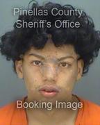 Alex Figueroa Info, Photos, Data, and More About Alex Figueroa / Alex Figueroa Tampa Area