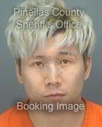 Linh Tran Info, Photos, Data, and More About Linh Tran / Linh Tran Tampa Area