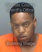 Kelvin Williams Info, Photos, Data, and More About Kelvin Williams / Kelvin Williams Tampa Area