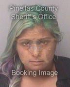 Rebecca Kagan Info, Photos, Data, and More About Rebecca Kagan / Rebecca Kagan Tampa Area