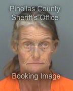 Audra Ostrander Info, Photos, Data, and More About Audra Ostrander / Audra Ostrander Tampa Area