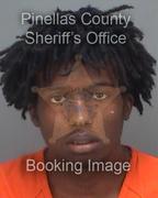 James Bingham Info, Photos, Data, and More About James Bingham / James Bingham Tampa Area