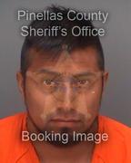 Jose Tellezsilis Info, Photos, Data, and More About Jose Tellezsilis / Jose Tellezsilis Tampa Area