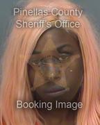 Tierra Barnes Info, Photos, Data, and More About Tierra Barnes / Tierra Barnes Tampa Area