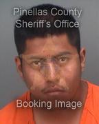 Marcos Hernandez Info, Photos, Data, and More About Marcos Hernandez / Marcos Hernandez Tampa Area