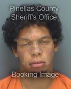 Sebastian Soto Info, Photos, Data, and More About Sebastian Soto / Sebastian Soto Tampa Area