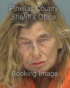 Denise Jansey Info, Photos, Data, and More About Denise Jansey / Denise Jansey Tampa Area