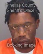 Theodore Williams Info, Photos, Data, and More About Theodore Williams / Theodore Williams Tampa Area