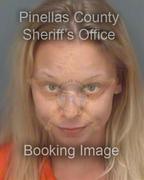 Jordan Setters Info, Photos, Data, and More About Jordan Setters / Jordan Setters Tampa Area