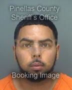 Kyle Ewing Info, Photos, Data, and More About Kyle Ewing / Kyle Ewing Tampa Area