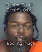 Rodeon Pitts Info, Photos, Data, and More About Rodeon Pitts / Rodeon Pitts Tampa Area