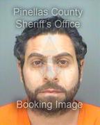 Mina Hanna Info, Photos, Data, and More About Mina Hanna / Mina Hanna Tampa Area