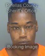 Brandy Hardin Info, Photos, Data, and More About Brandy Hardin / Brandy Hardin Tampa Area