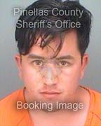 Gabriel Pelayo Info, Photos, Data, and More About Gabriel Pelayo / Gabriel Pelayo Tampa Area