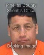 William Pinargotemero Info, Photos, Data, and More About William Pinargotemero / William Pinargotemero Tampa Area