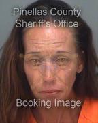 Cynthia Fickes Info, Photos, Data, and More About Cynthia Fickes / Cynthia Fickes Tampa Area
