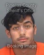 Daniel Amayarodriguez Info, Photos, Data, and More About Daniel Amayarodriguez / Daniel Amayarodriguez Tampa Area